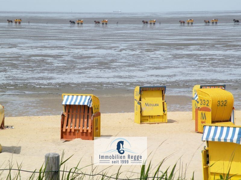 gepflegter Sandstrand gepflegter Sandstrand
